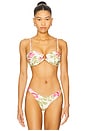 view 1 of 5 Pomona Bikini Top in Light Beige