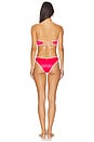 view 4 of 4 Cirsium One Piece Swimsuit in Red