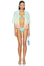 view 5 of 5 Indigo Veil Sunflash Bikini Bottom in Pastel Blue
