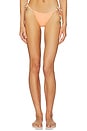view 2 of 6 Blush Tide Sunflash Bikini Bottom in Open Yellow