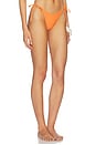 view 3 of 5 Solar Reverie Sunflash Bikini Bottom in Burnt Orange
