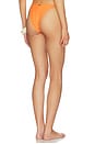view 4 of 5 Solar Reverie Sunflash Bikini Bottom in Burnt Orange