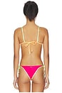 view 4 of 5 PARTE SUPERIOR DEL BIKINI SUNDAZED BARI in Dark Pink