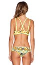 view 4 of 4 컷아웃 크로스 백 비키니 탑 in Amarillo