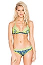 view 1 of 4 Sublime Rhyme Bikini Top in Lime & Blue Multi