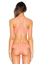 view 4 of 5 Starfish Surfer Bikini Top in Coral & Peach