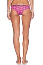 view 3 of 4 CHEEKY BIKINI BOTTOM 비키니 하의 in Pony Tail