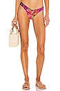 view 1 of 5 Passiflora Viva Bikini Bottom in Pink
