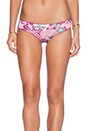 view 2 of 5 BRAGUITA BIKINI CHI CHI BIKINI BOTTOM in Plum Lady