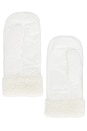 view 2 of 2 Jazmina Gloves in White