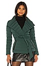 view 1 of 5 Gretta Jacket in Green