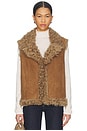 view 1 of 4 Kasia Vest in Otter