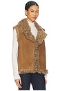 view 2 of 4 Kasia Vest in Otter