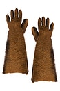 view 1 of 2 Leather Gloves in Brown