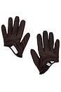 view 1 of 2 Leather Gloves in Brown