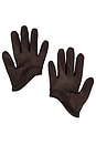 view 2 of 2 Leather Gloves in Brown