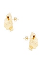 view 2 of 2 Rose Stud Earrings in Gold