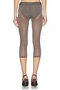view 5 of 6 Capri Pant in Brown