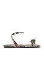 view 1 of 5 Rose Sandal in Snake