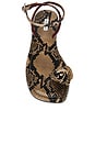 view 4 of 5 Rose Sandal in Snake