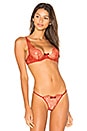 view 1 of 4 Jardin Imperial Wire Bra in Red