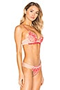 view 2 of 4 BAISERS DE PARIS ハーフムーンブラ in Tattoo Pink