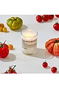 view 2 of 5 Tomato Candle in 