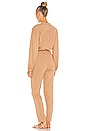 view 3 of 3 The Ava Jumpsuit in Brown