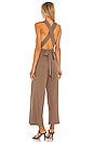 view 3 of 3 Cody Jumpsuit in Nude