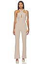view 1 of 3 Leticia Jumpsuit in Beige