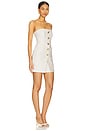 view 2 of 4 Brooke Mini Dress in Ivory