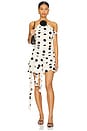 view 1 of 3 Brandi Mini Dress in Cream & Black Dot