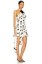 view 2 of 3 Brandi Mini Dress in Cream & Black Dot