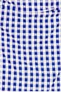 view 4 of 4 Peggy Mini Dress in Blue & White Check