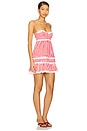 view 2 of 4 Roxy Mini Dress in Red & White Check