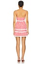 view 3 of 4 Roxy Mini Dress in Red & White Check