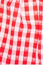 view 4 of 4 Roxy Mini Dress in Red & White Check