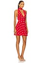 view 2 of 4 Deanna Mini Dress in Cherry Red Polka Dot