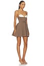view 2 of 3 Serena Mini Dress in Brown & Ivory