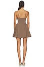 view 3 of 3 Serena Mini Dress in Brown & Ivory