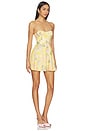 view 2 of 4 Maizie Mini Dress in Yellow Multi