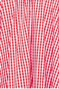 view 4 of 4 Roma Dress in Red And White Gingham