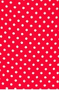 view 4 of 4 VESTIDO FLO in Red & White Polka Dot