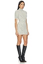 view 2 of 4 Jacquelynne Leopard Mini Dress in Light Leopard