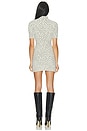 view 4 of 4 Jacquelynne Leopard Mini Dress in Light Leopard