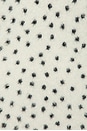 view 5 of 4 Jacquelynne Leopard Mini Dress in Light Leopard