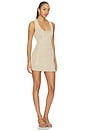 view 2 of 4 x Blake Evin Zabrina Flower Embroidered Mini Dress in Champagne Gold
