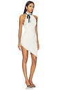 view 4 of 5 Lacelle Mini Dress in Ivory