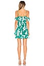 view 4 of 3 Salsa Dress in Tropical