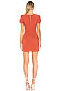 view 3 of 3 Evelyn Dress in Terracotta Orange